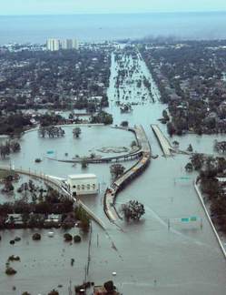 nola under water.jpg