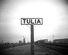 tulia.jpg