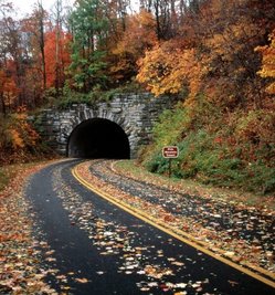 Blue Ridge Parkway2.jpg