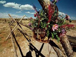 matthew shepard fence.jpg