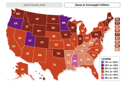 obese_children_map.png