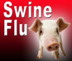 Swine Flu.jpg