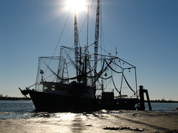 Fishing Boat.jpg