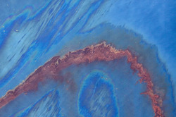 bp_rainbow_wathen.jpg