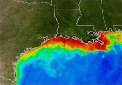 Gulf Dead Zone.jpg