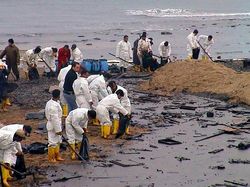 Oil Spill Cleanup Workers.jpg