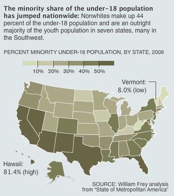 Minority Youth Map.JPG