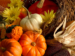 Thanksgiving 2.jpg