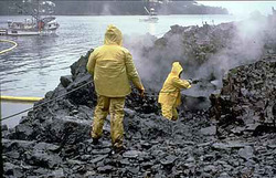 exxonvaldez_cleanup_workers.jpg