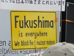 fukushima_is_everywhere.png