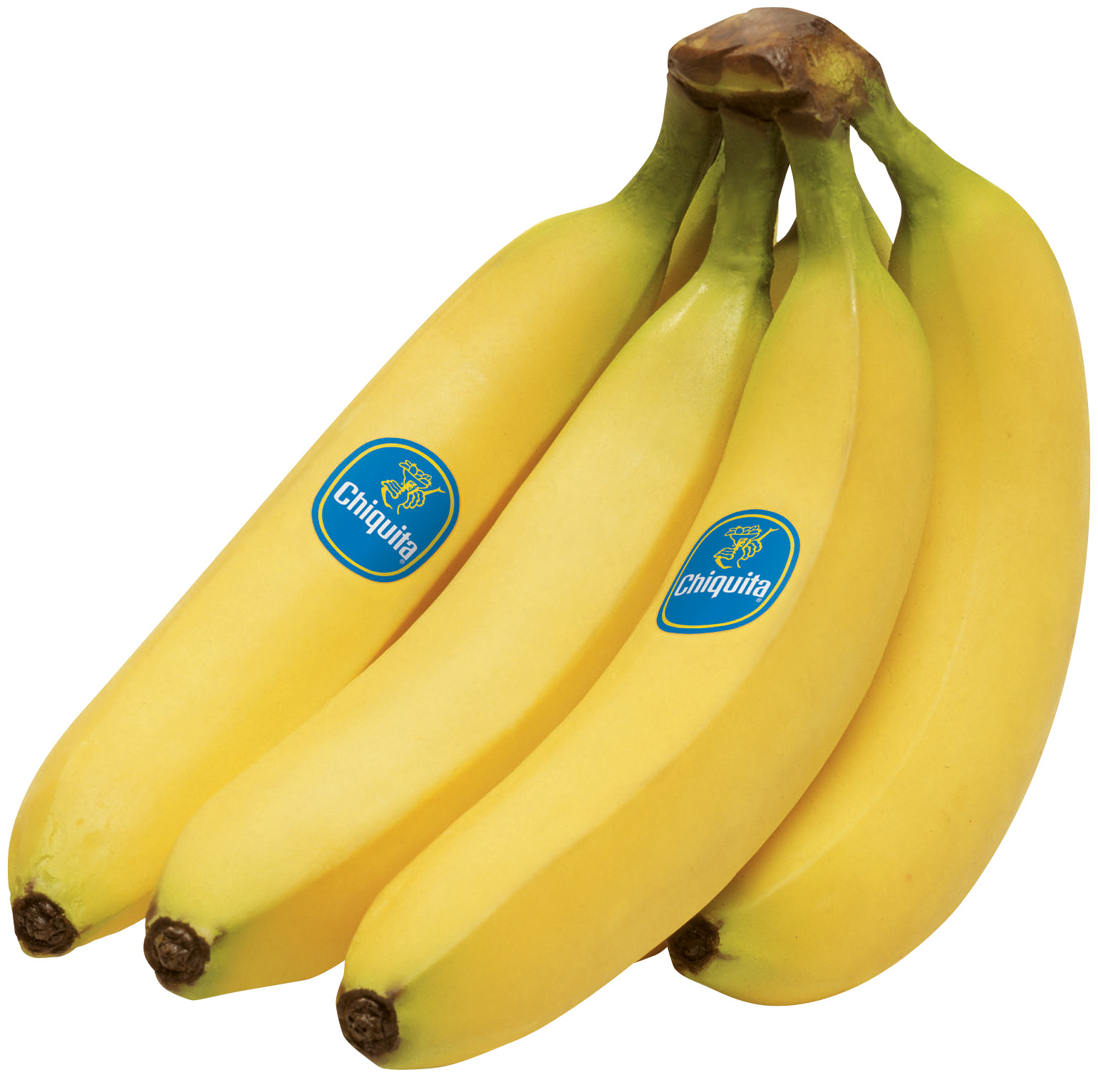 Chiquita Net Worth