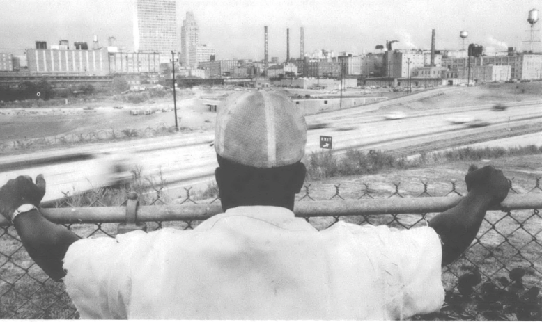 Photo of man looking out over field