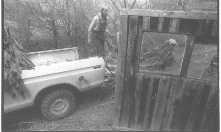 Truck bed and two men taking brush out