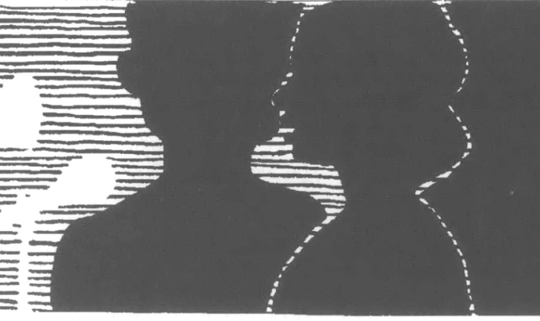 Silhouette of camera and several profiles