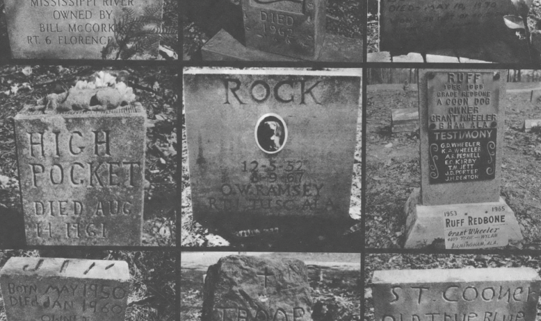 Black and white photo collage showing gravestones for hunting dogs