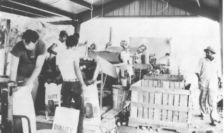 Black and white photo of group of people, Black and white, standing inside barn-esque building 