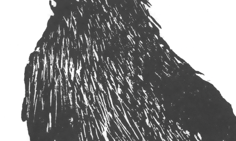 Black and white drawing of bear standing on hind legs and looking behind 