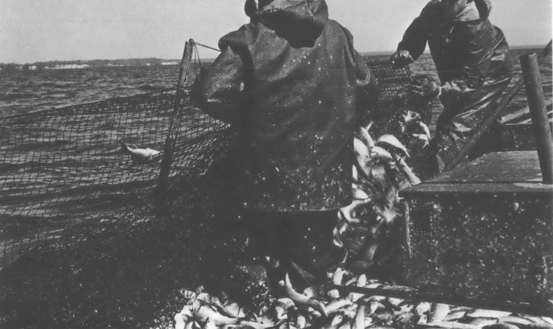 Black and white photo of fishermen with backs turned to camera on a fishing boat in the ocean