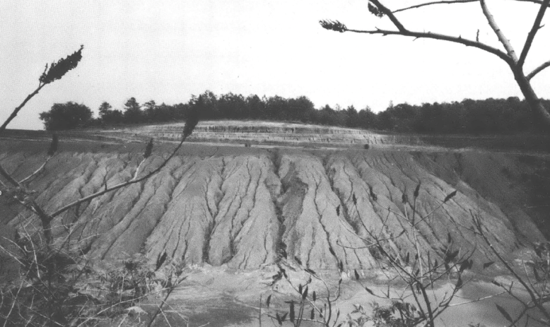 Black and white photo of eroding hillside