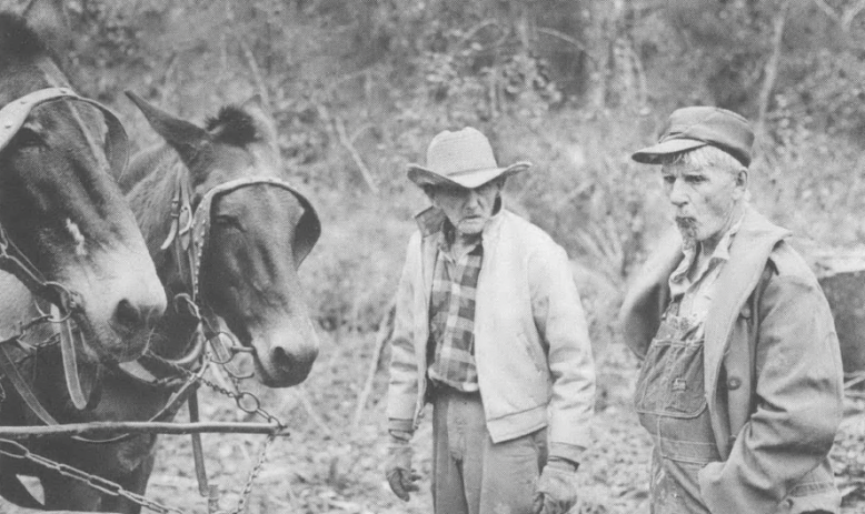 Black and white photo of two men, one in cowboy hat and one in baseball cap, with team of horses