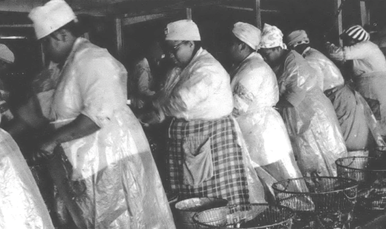 Black and white photo of women in skirts and aprons working on a line