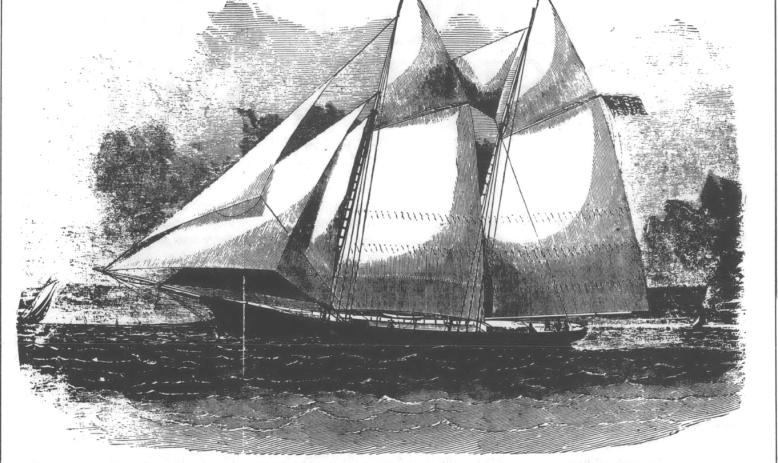 Illustration of the Wanderer, a racing schooner turned slave ship, in 1984