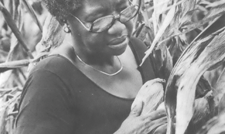 an old woman holding ears of corn