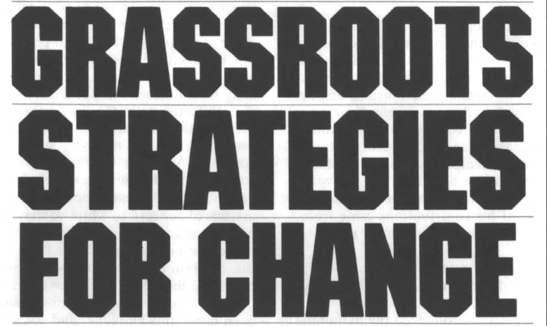 grassroots strategies for change