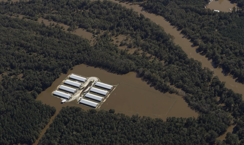 Hog farming and waste facility under water next to Neuse River