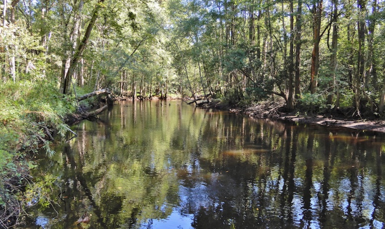 Lumber River