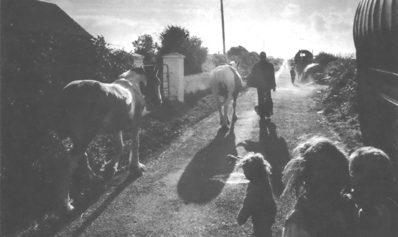 man and children walking alongside horses