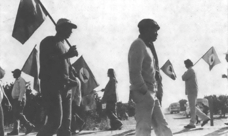 people marching holding flags