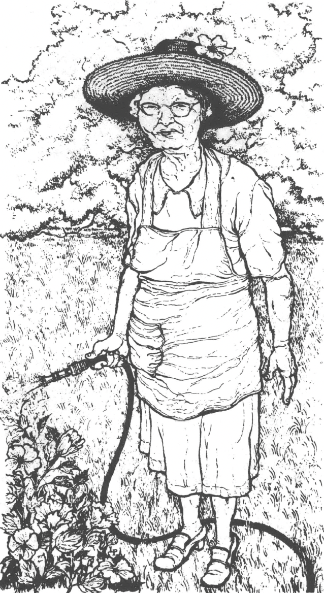 Ink drawing of old woman in sun hat and dress watering a garden