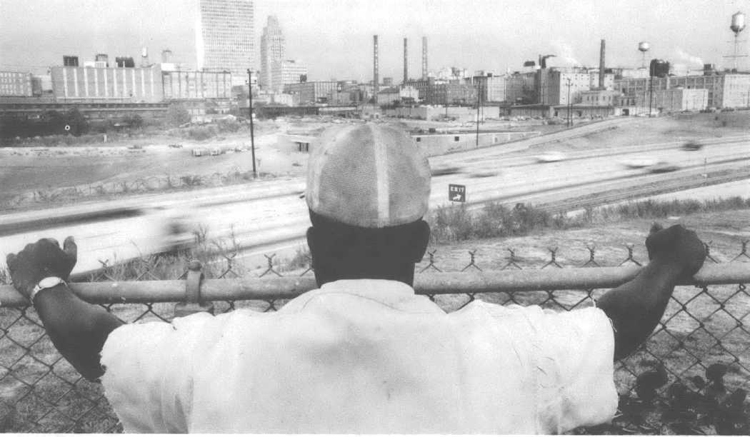 Photo of man looking out over field