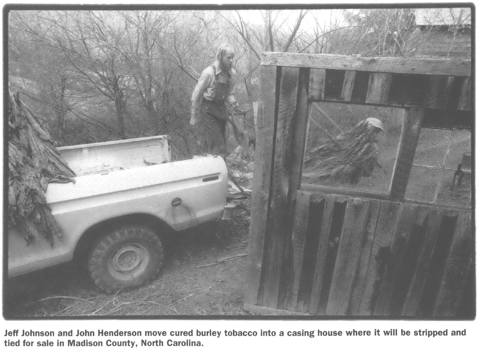 Truck bed and two men taking brush out