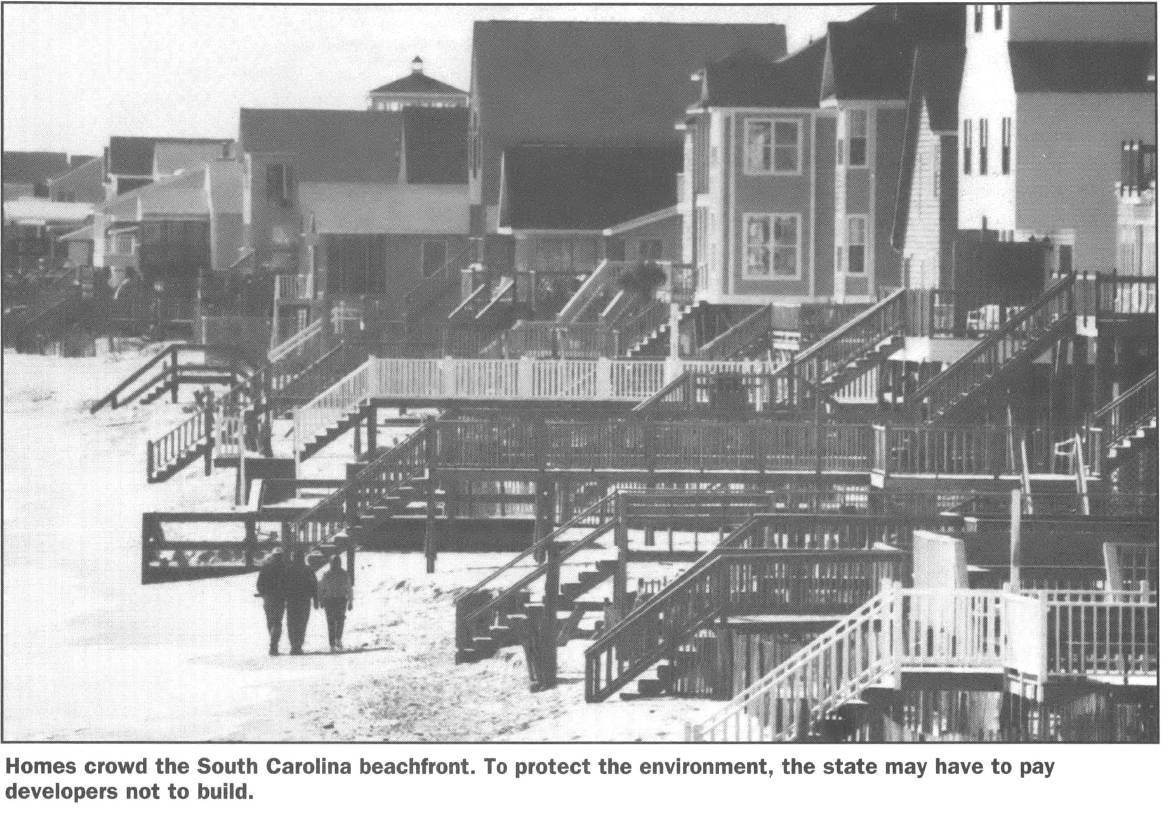 Beachfront houses