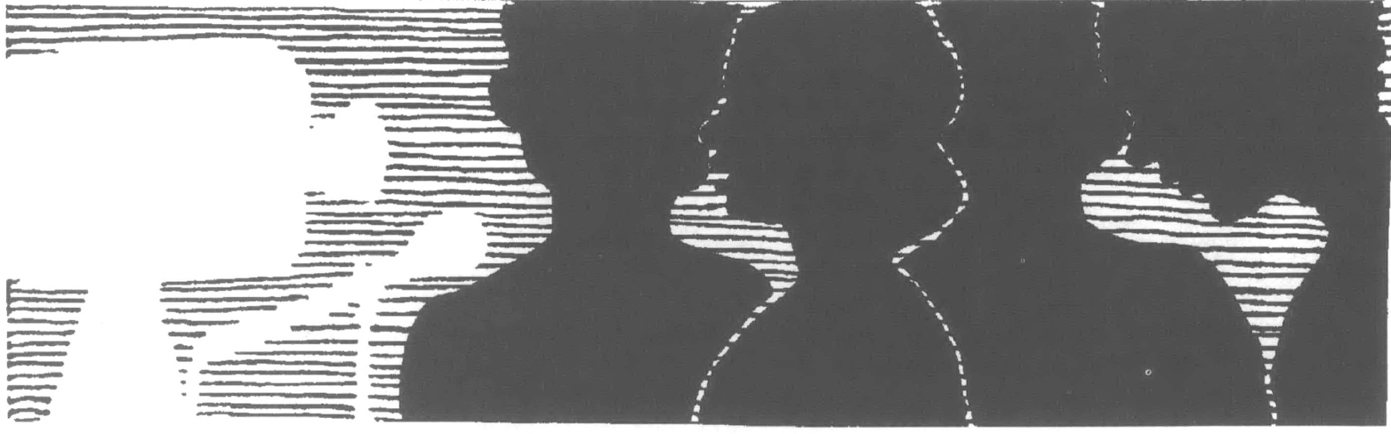 Silhouette of camera and several profiles