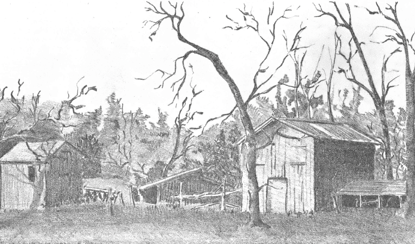 Black and white drawing of rural landscape with barns, sheds, trees without leaves