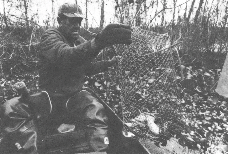 Black and white photo of man in cap emptying out fishing nets