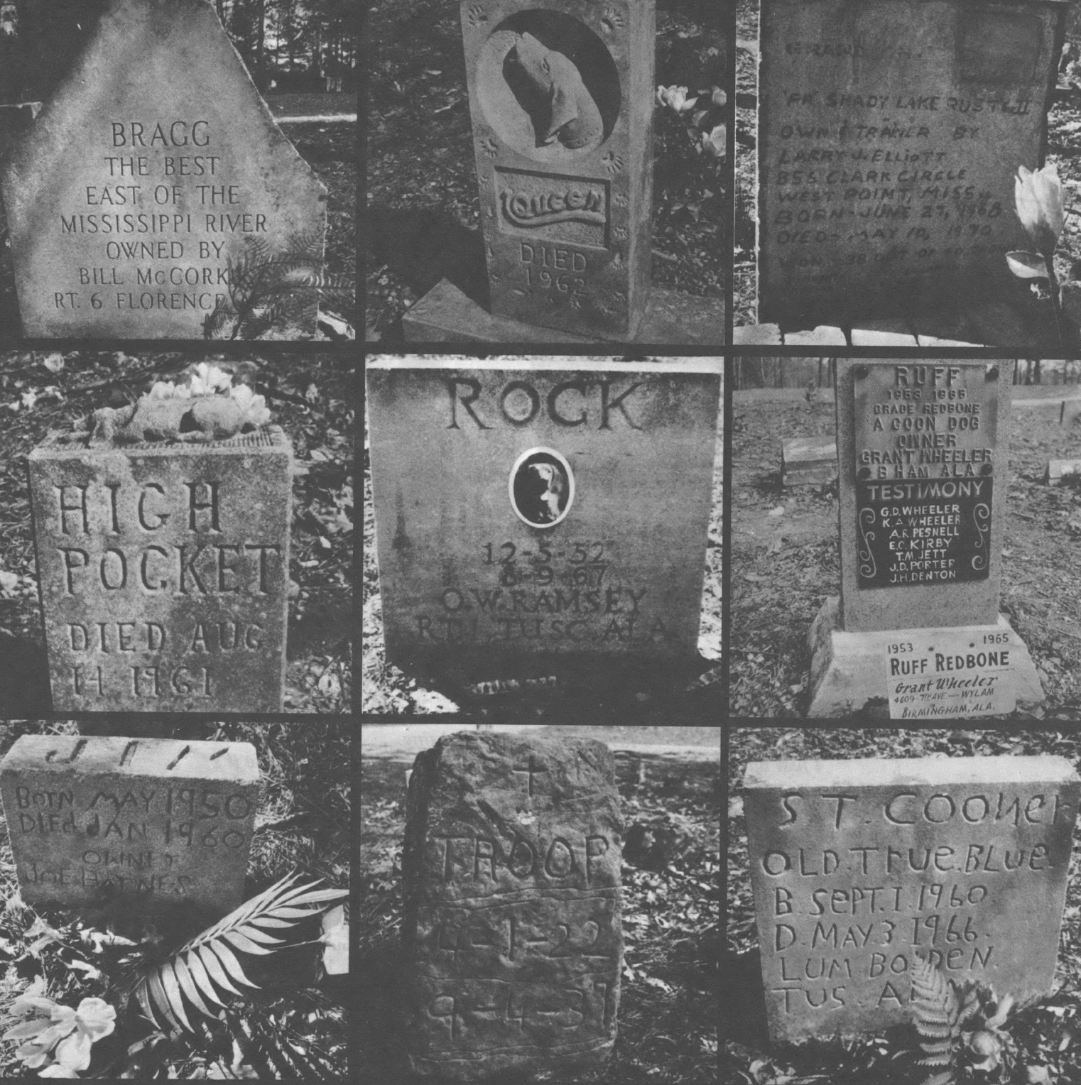 Black and white photo collage showing gravestones for hunting dogs