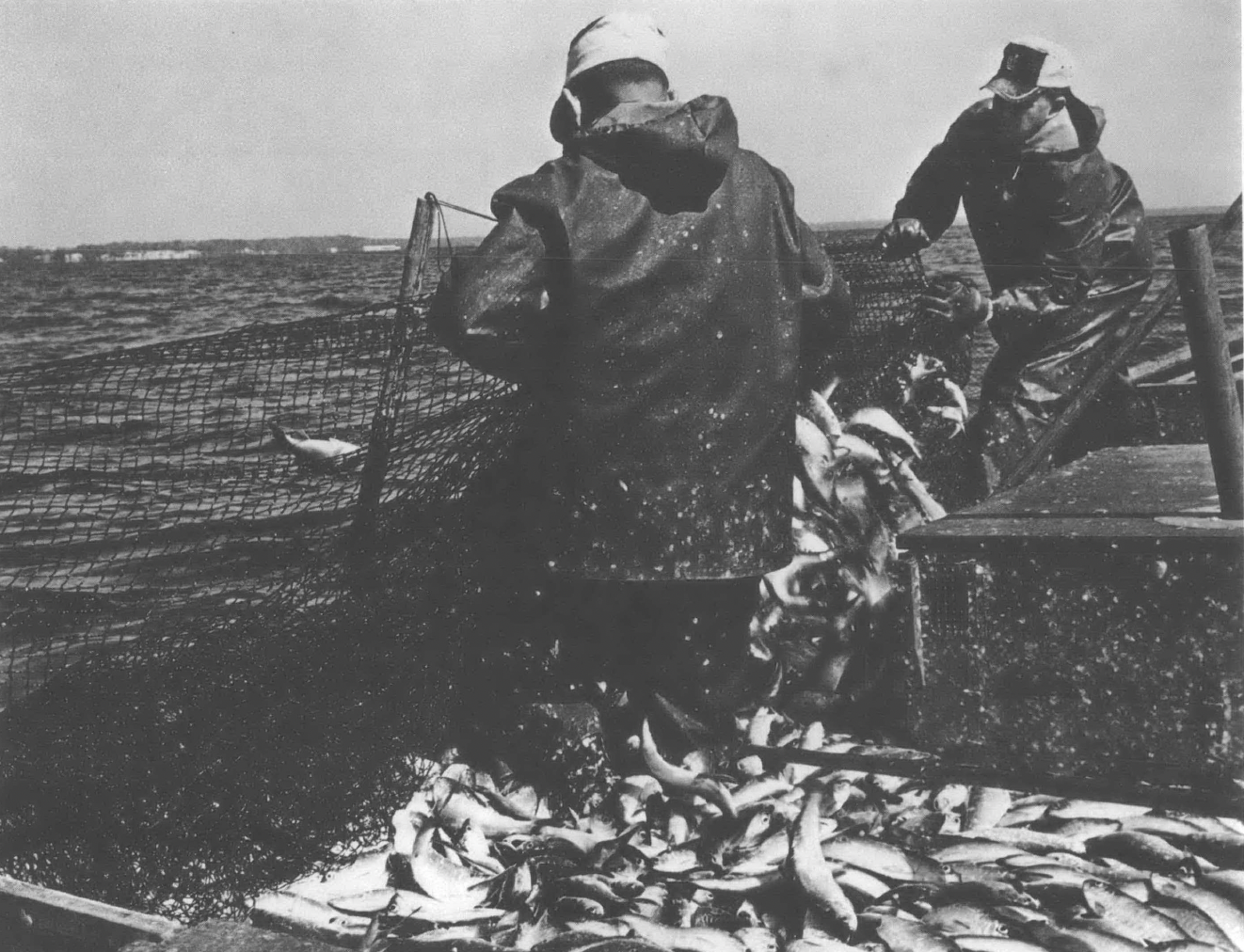 Black and white photo of fishermen with backs turned to camera on a fishing boat in the ocean