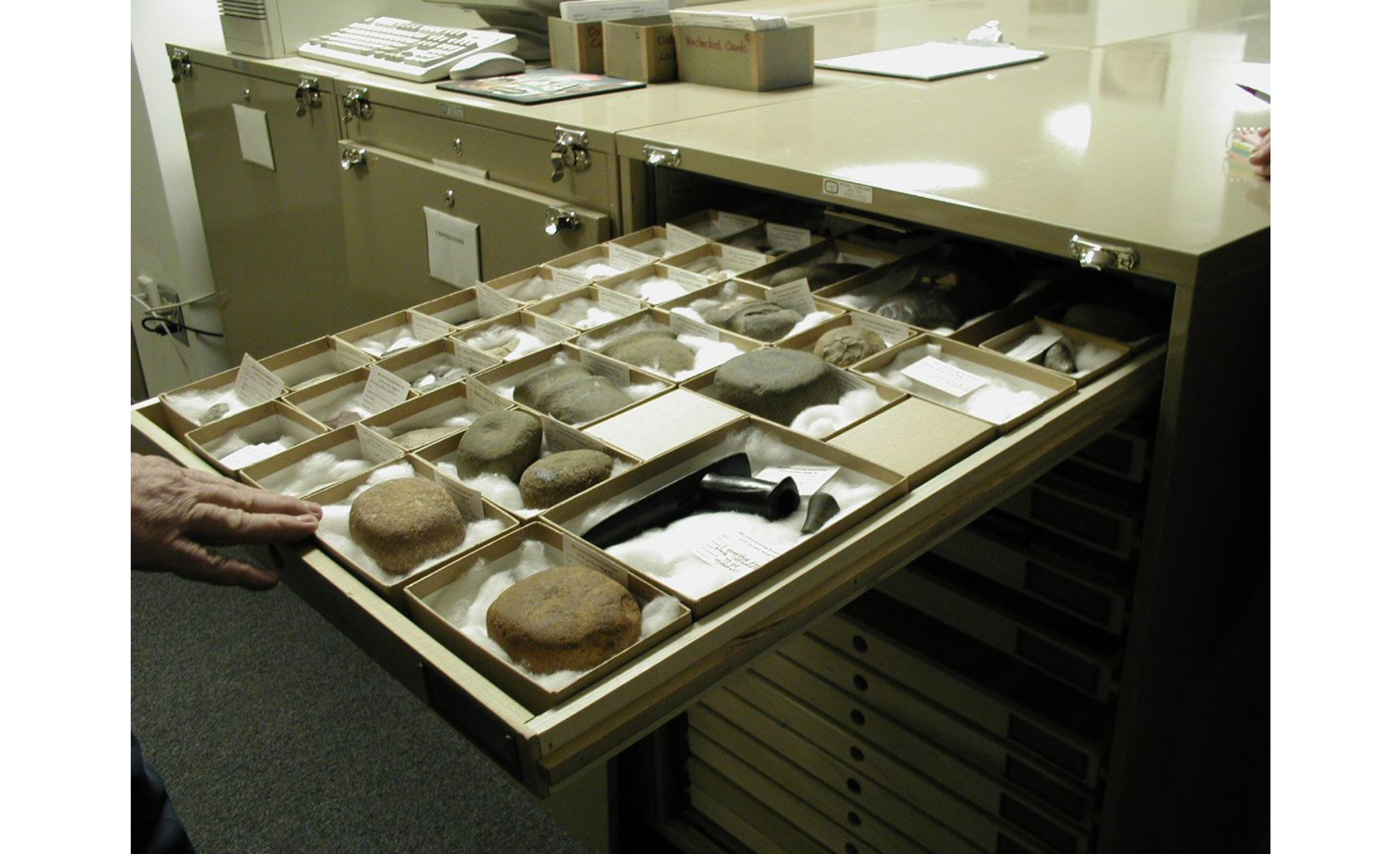 An open drawer of stone-like objects in the Research Center of the North Carolina Office of State Archaeology.