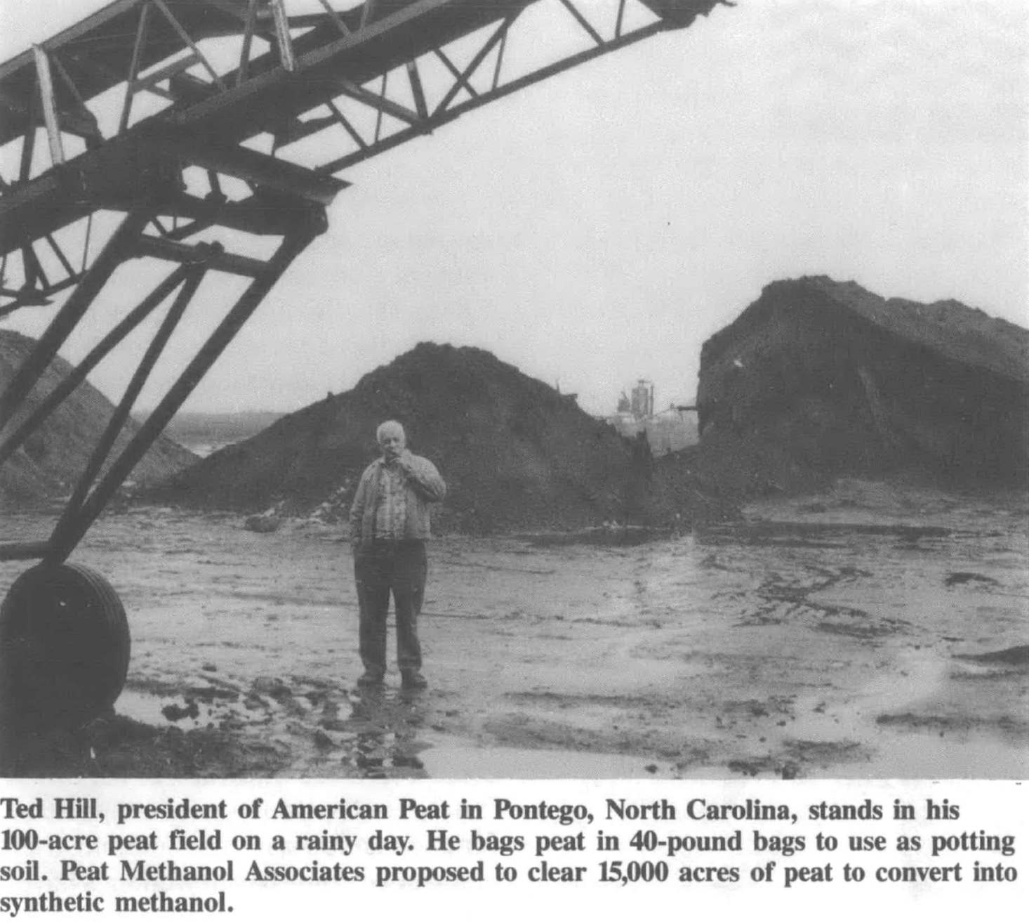 man standing in peat field