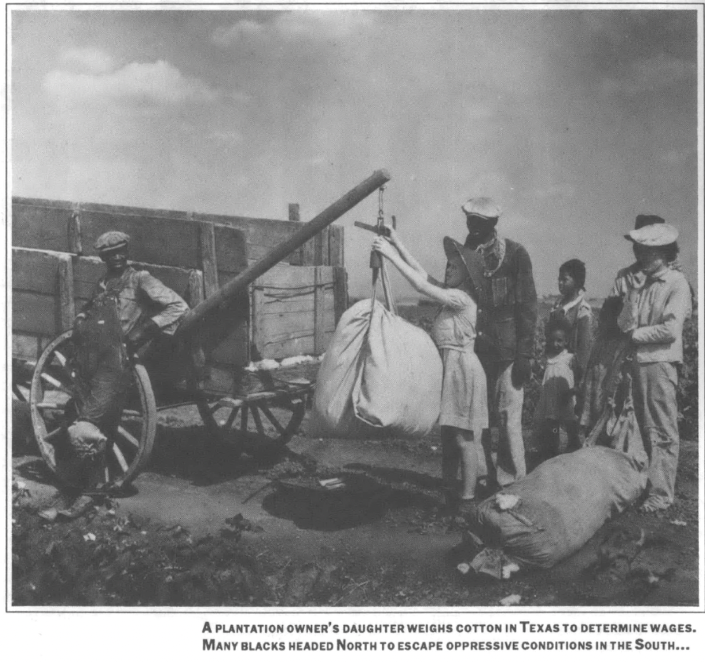 a plantation owner's daughter weighs cotton in Texas to determine wages