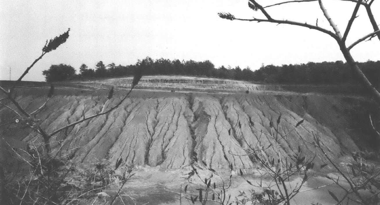 Black and white photo of eroding hillside