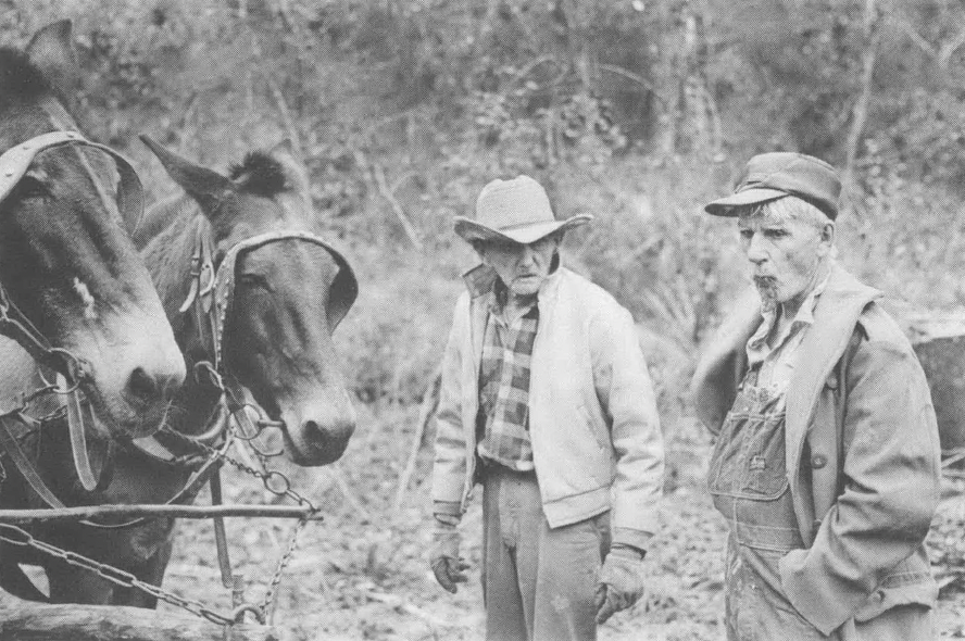 Black and white photo of two men, one in cowboy hat and one in baseball cap, with team of horses
