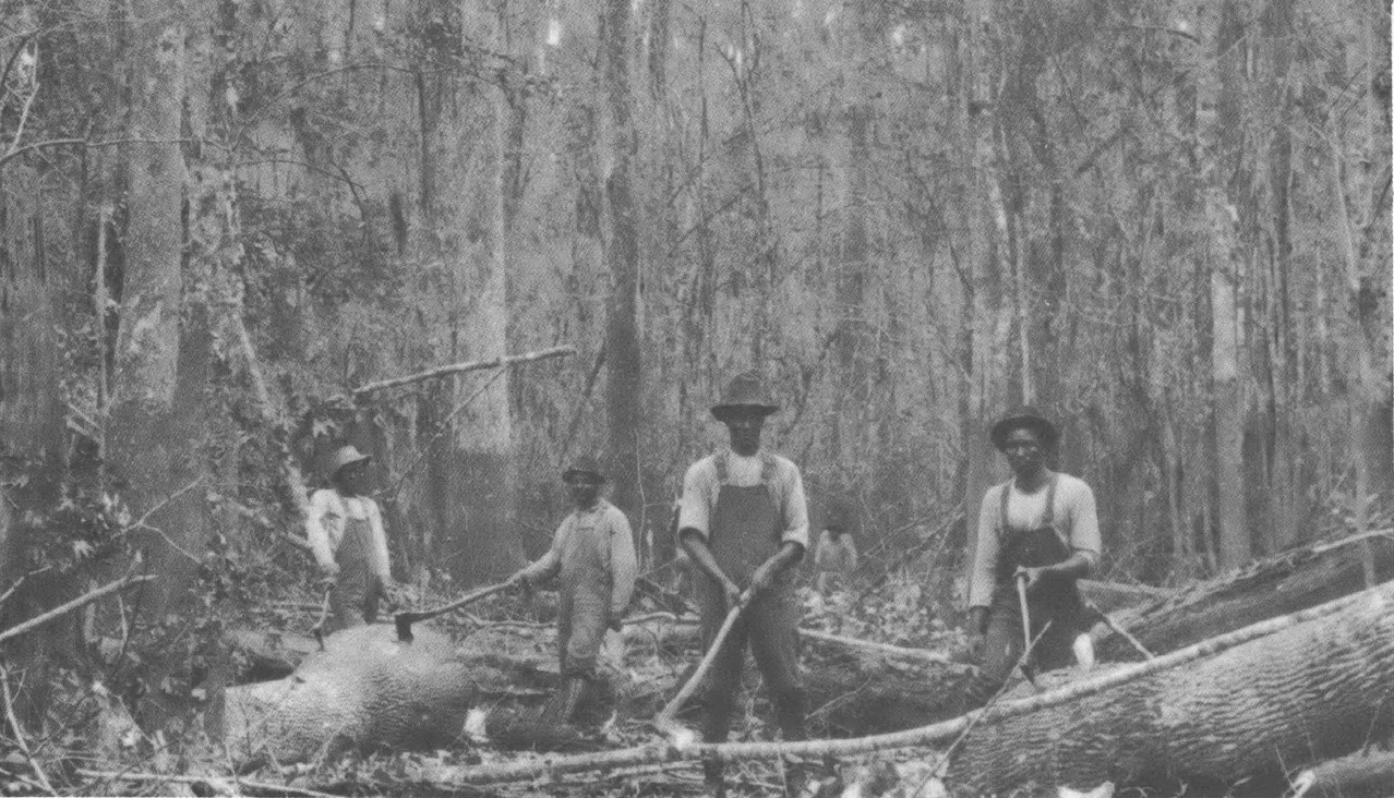 Black and white photo of men in overalls working with cut down trees