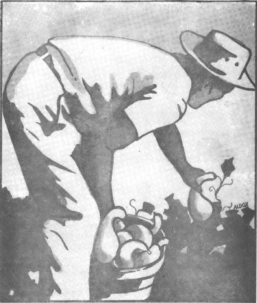 Black and white drawing of male farmer picking crop