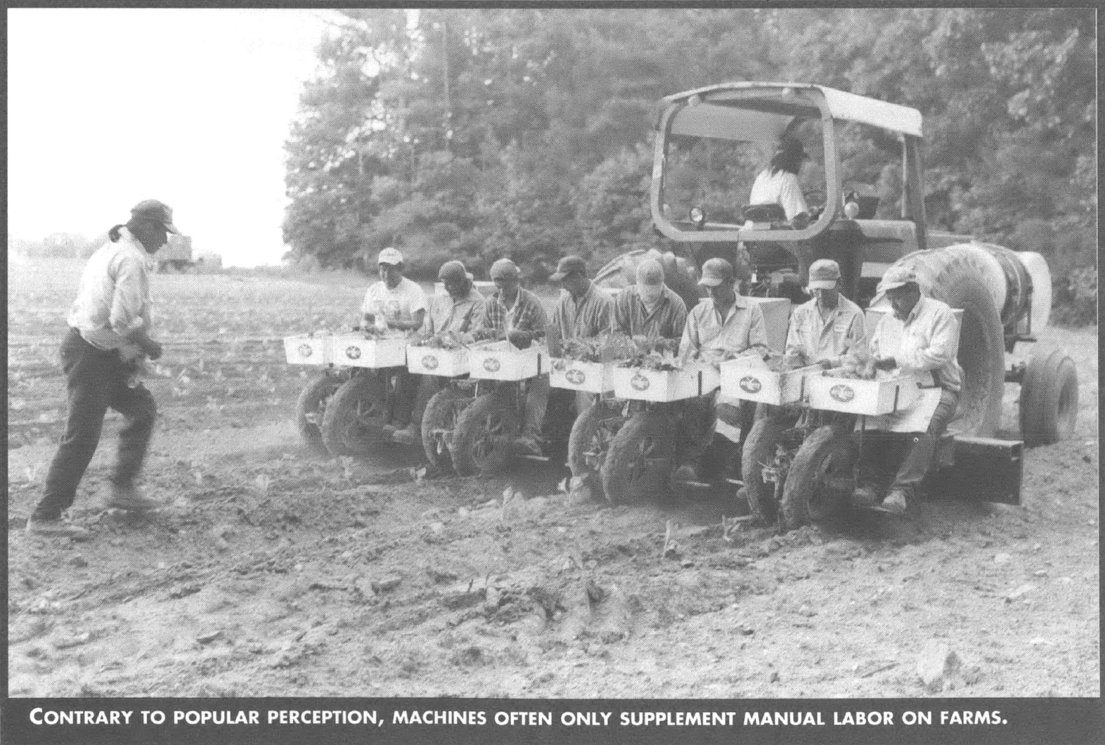 Contrary to popular perception, machines only supplement manual labor on farms