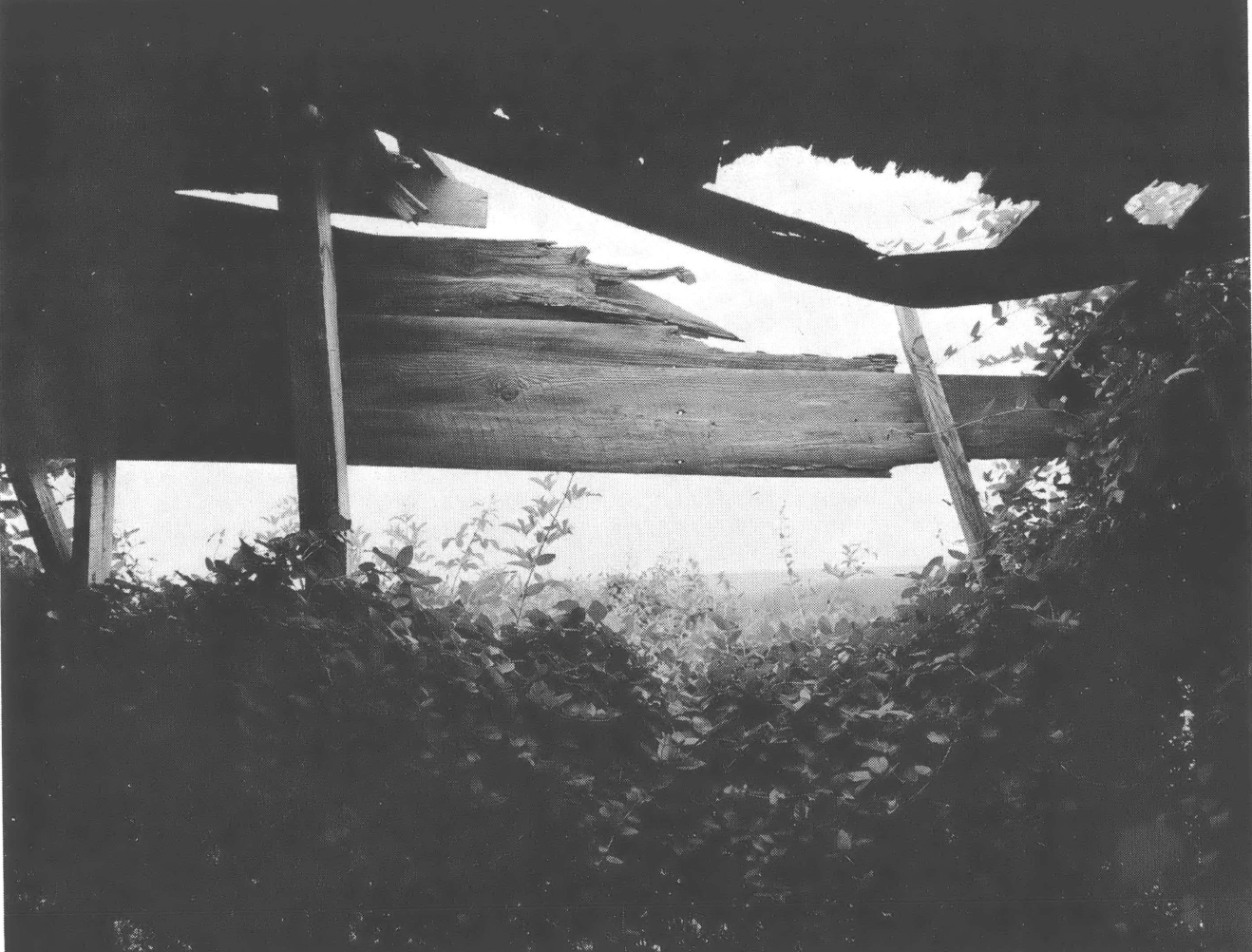 Black and white photo of deteriorating wooden building 